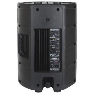 PSA-12