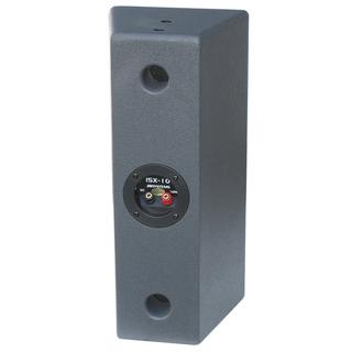 ISX-10 (1 pair)