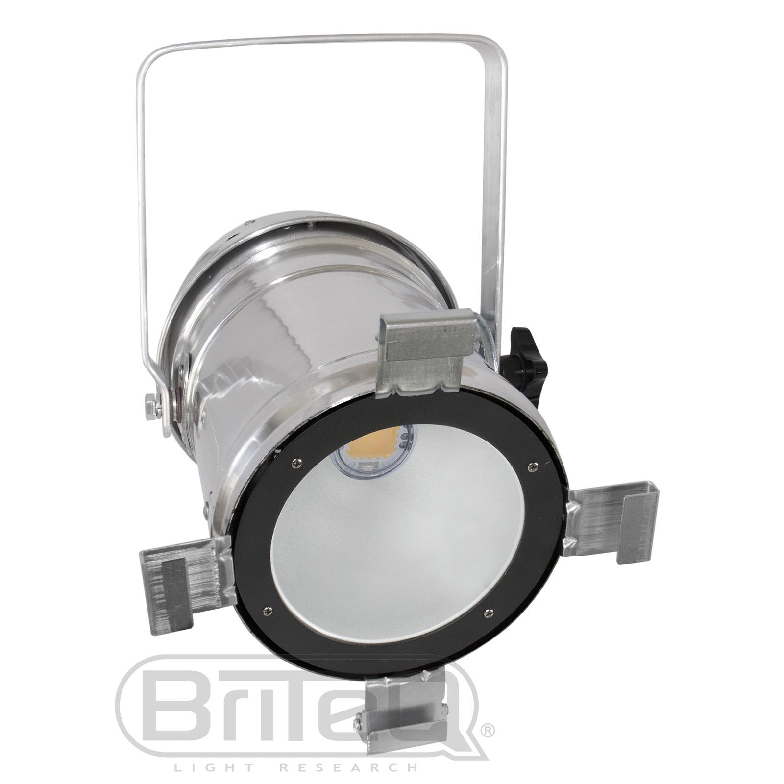 COB PAR56-100WW SILVER