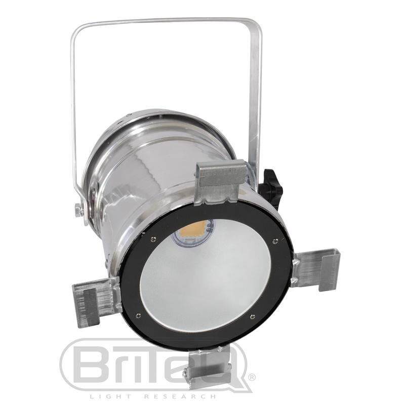 COB PAR56-100WW SILVER