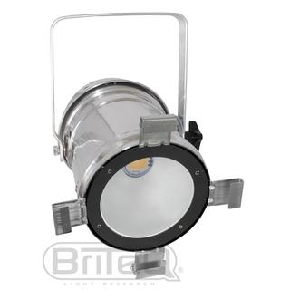 COB PAR56-100WW SILVER