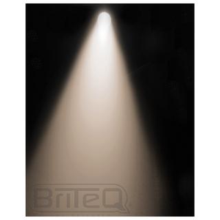 COB PAR56-100WW SILVER