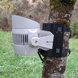 SUP-Tree