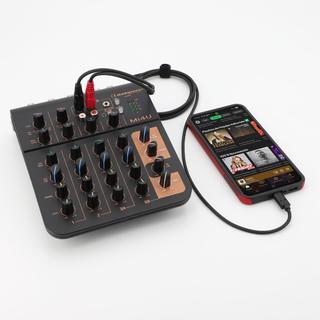 USBC DAC-2RCA